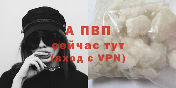 спиды Богородск