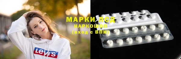 spice Богородицк