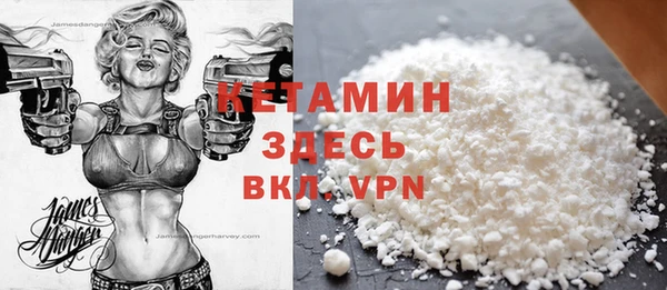 spice Богородицк